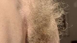 Hairy Sara’s wild bush