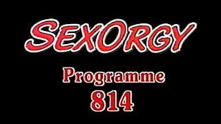 CC Sex Orgy 814