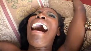 MANY COCKS IN HER HOLES – vol #15 – (Michael Stefano Films)