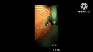 newlywed bhabhi eBustynjoys hardcore sex with brother in law  moh me lena