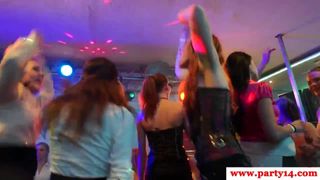 Real european babes cocksucking at sexparty