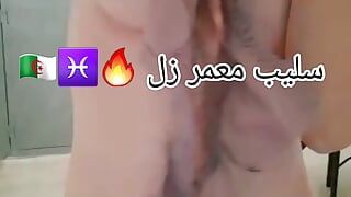 Slype Fiyah T3 9A7ba Tribal Habba Tank