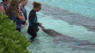 Footsie girl gets creampie