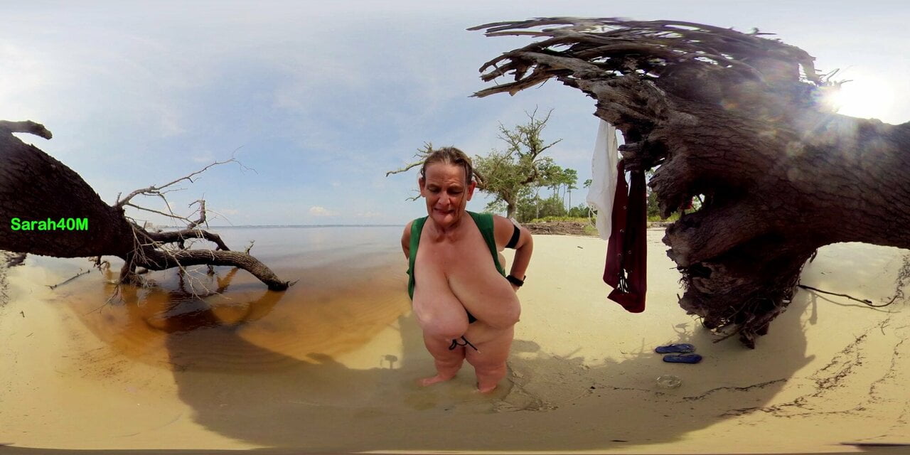 Driftwood Oak Top Change (360 Spherical 2D)