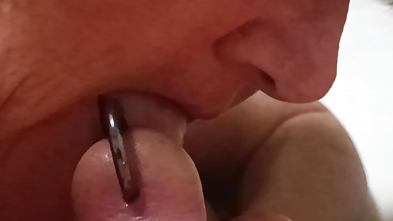 Holiday ower being kept happy