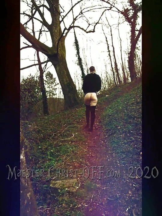 Take a walk on the Wild Side (exctract)