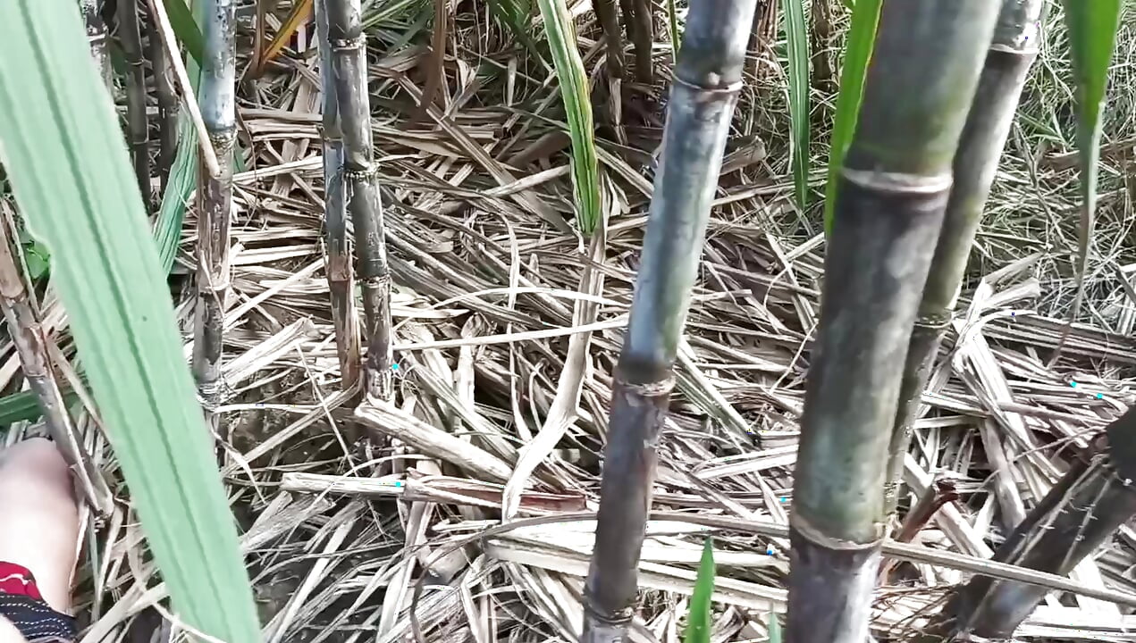 Desi village videos make xhamster. Come