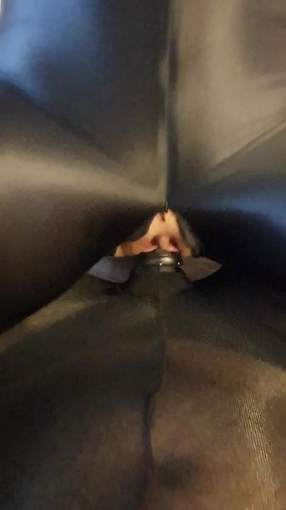 nylon masked wife sucking husband cock in sheath