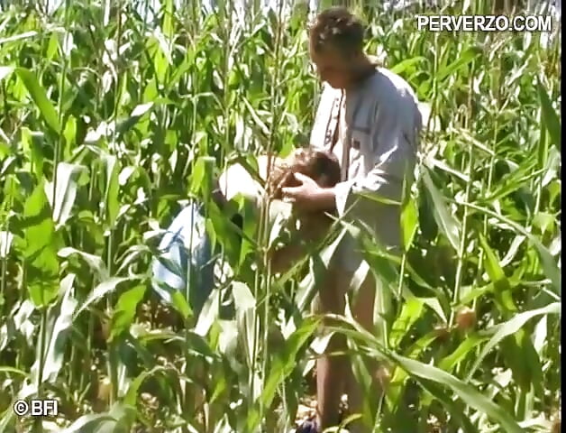 Threesome in the cornfield
