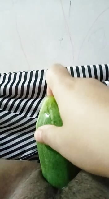 Timun besar masuk cipap melayu